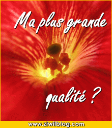 Ma plu grande kalité et la tienne ...